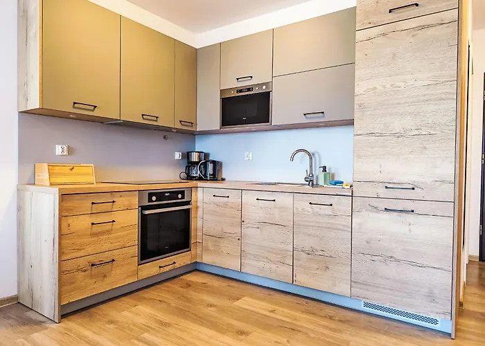 B 406 By Interhome *